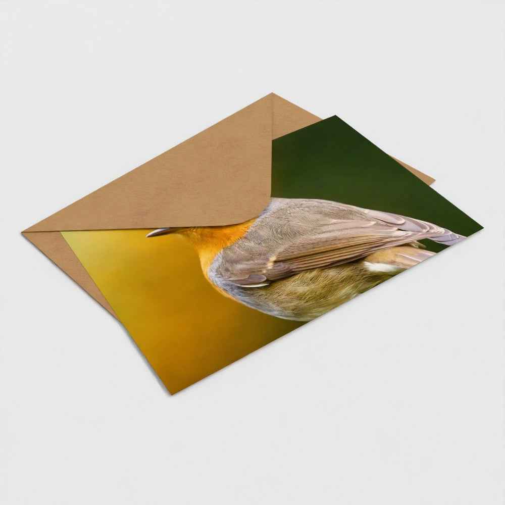 Roodborst briefkaart met kraft envelop