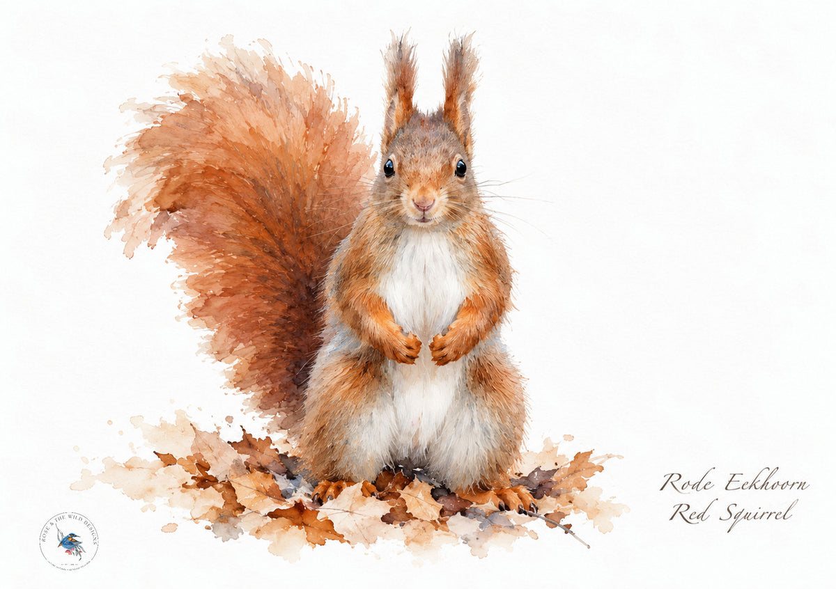 Rechtop zittende rode eekhoorn tussen herfstbladeren, digitaal bewerkt in aquarelstijl