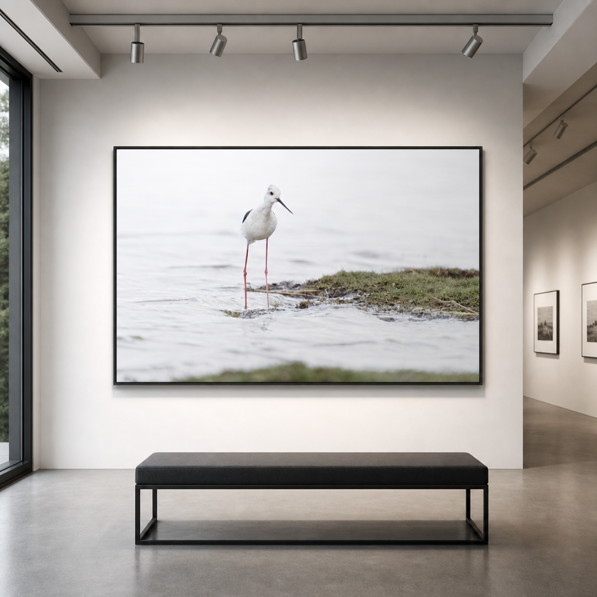 Main image Roodborst | Natuurfoto op Fuji Crystal