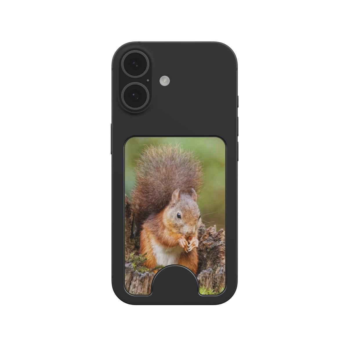 Magnetic Wallet met originele natuurfoto van een eekhoorn