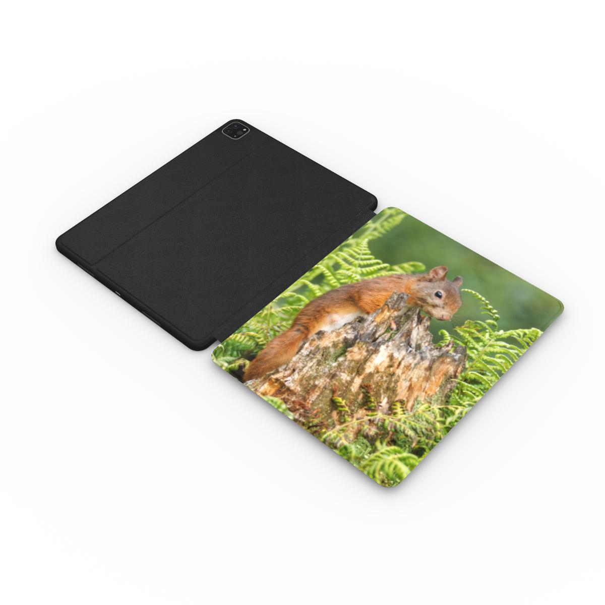 iPad hoes met originele foto van een eekhoorn tussen varens