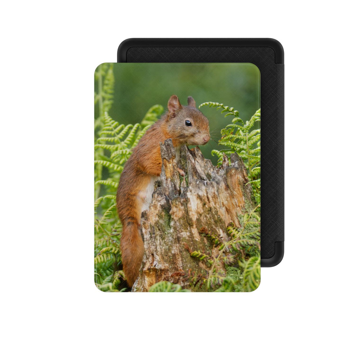Eekhoorn tussen varens Kindle Case voor Paperwhite, voorzijde
