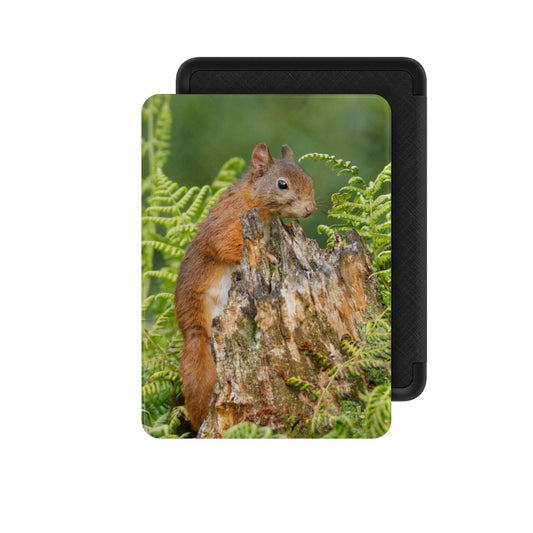Eekhoorn tussen varens Kindle Case voor Paperwhite, voorzijde