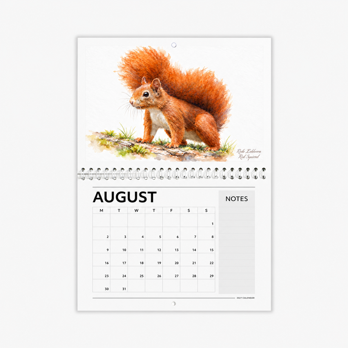 Augustuspagina van de Aquarelkalender 2027 met een rode eekhoorn op een met mos begroeide tak