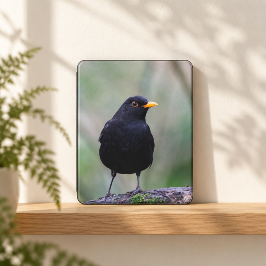 Merel iPad Hoes: Bescherming met Natuurlijke Schoonheid