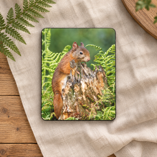 Eekhoorn tussen Varens iPad Case met Apple Pencil-houder