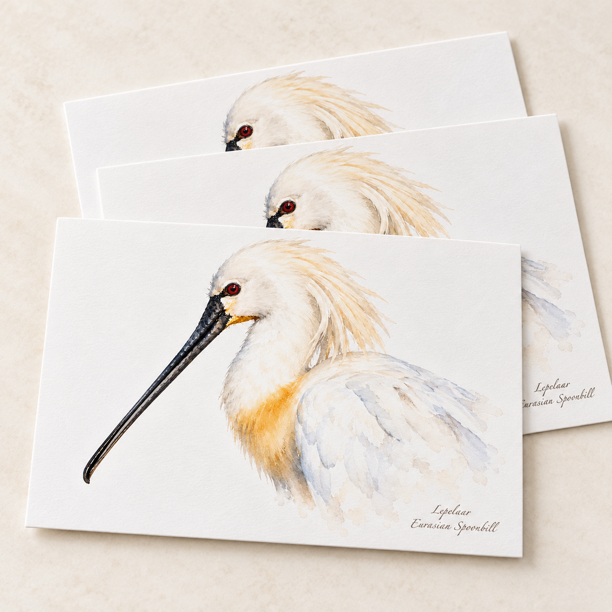 Drie overlappende briefkaarten met een lepelaar in aquarelstijl op een lichte ondergrond