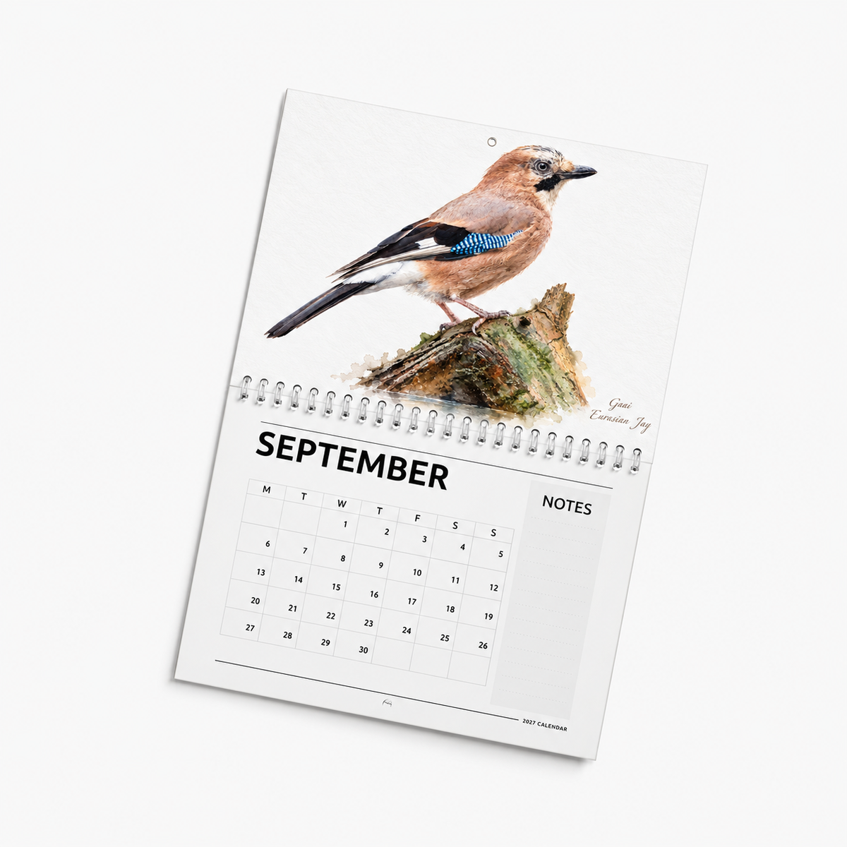 Septemberpagina van de Aquarelkalender 2027 met een gaai op een boomstronk