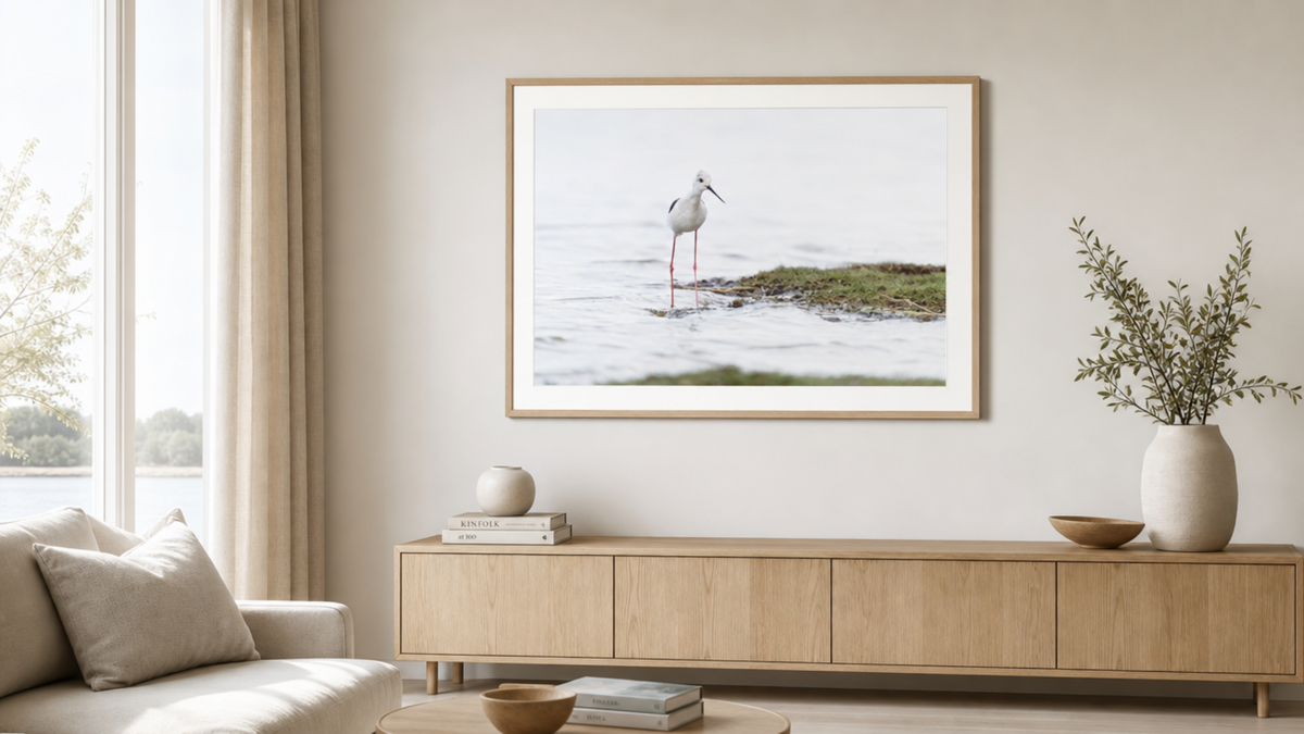 Detailweergave van Steltkluut vogelfotografie op Lustre papier