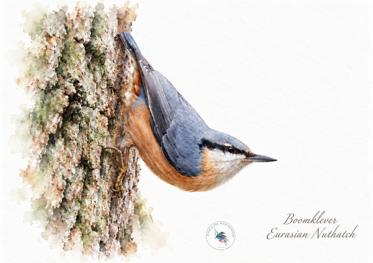 Boomklever met de kop naar beneden op een boomstam, digitaal bewerkt in aquarelstijl