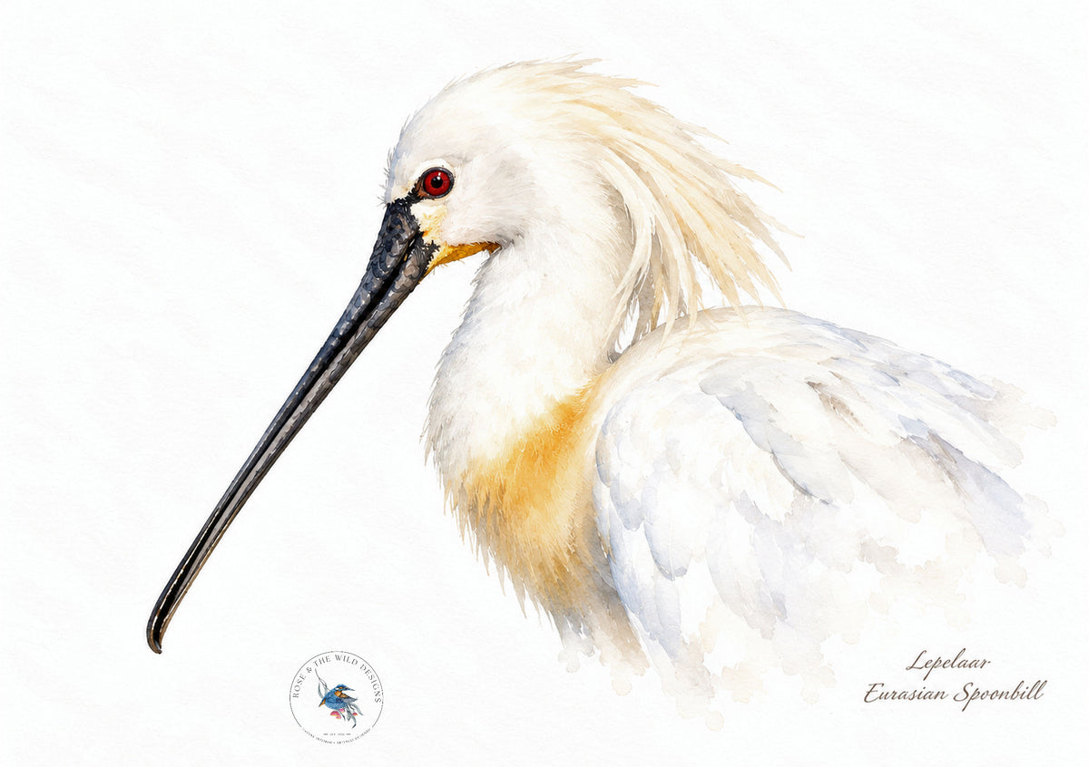 Portret van een lepelaar met lange zwarte snavel, digitaal bewerkt in aquarelstijl
