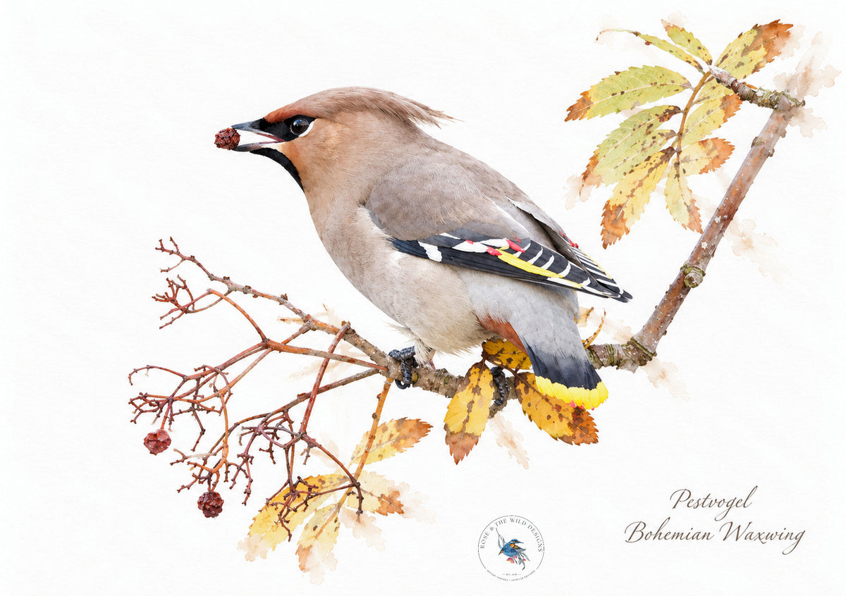 Pestvogel op een tak met bessen en herfstbladeren, digitaal bewerkt in aquarelstijl